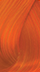 39 Orange Blaze